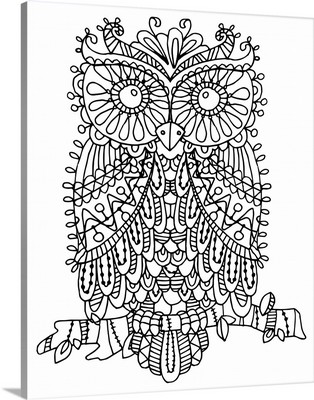 Color me owl