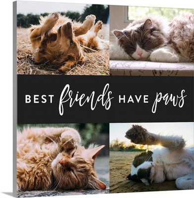 Best Friends Have Paws