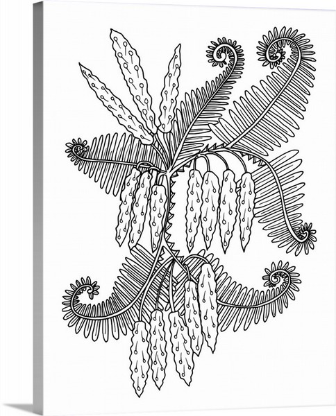 product render of Ferns I