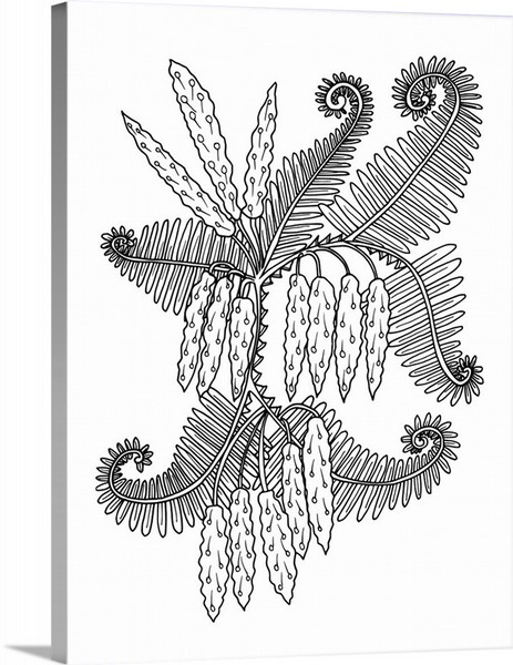 product render of Ferns I