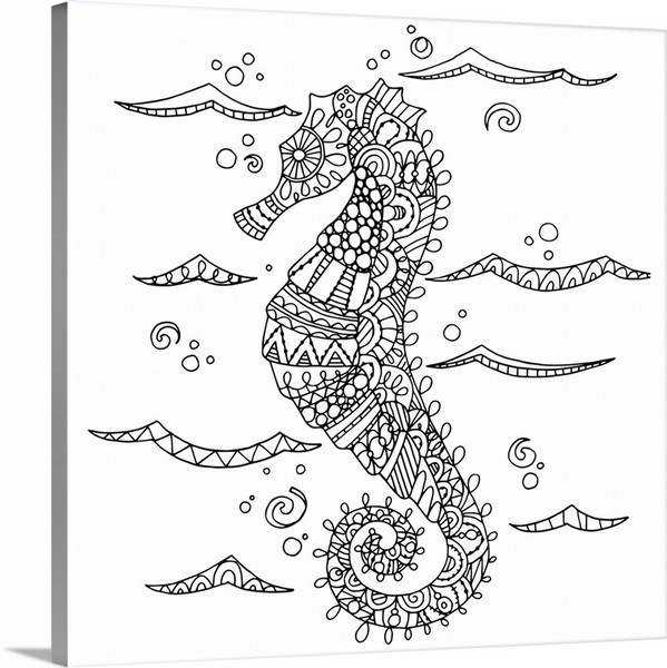 product render of Color Me - Seahorse
