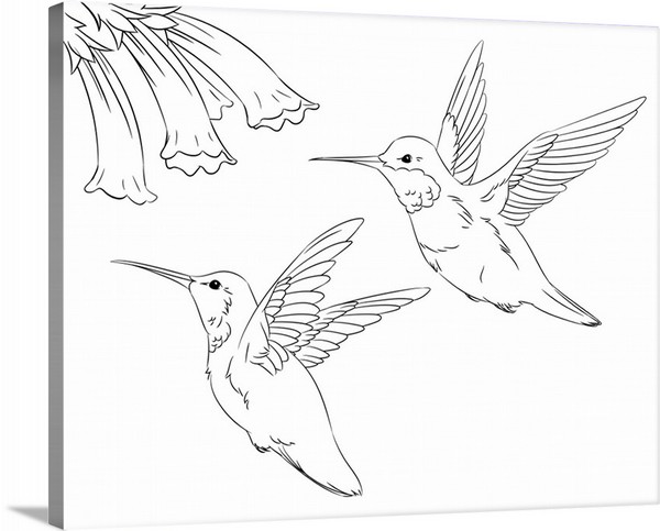 product render of Hummingbirds