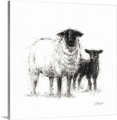 Charcoal Sheep Study II