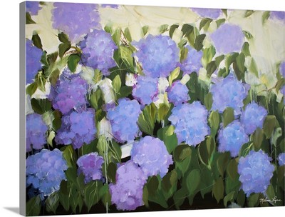 Purple And Blue Hydrangeas