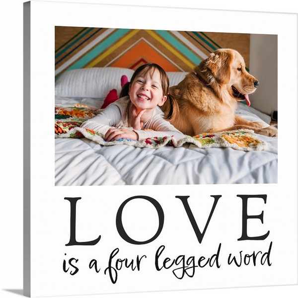 product render of Love Is A Four Legged Word