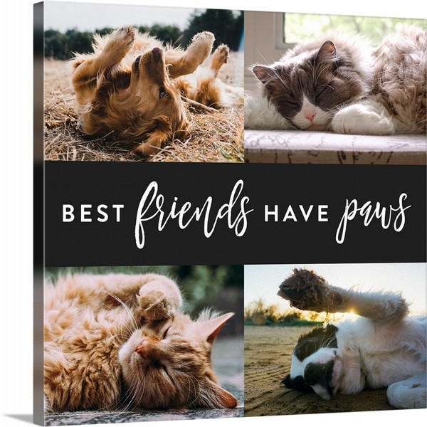 product render of Best Friends Have Paws