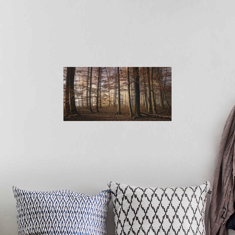 A bohemian room featuring Forest in the fall with trees and the ground full of orange leaves.