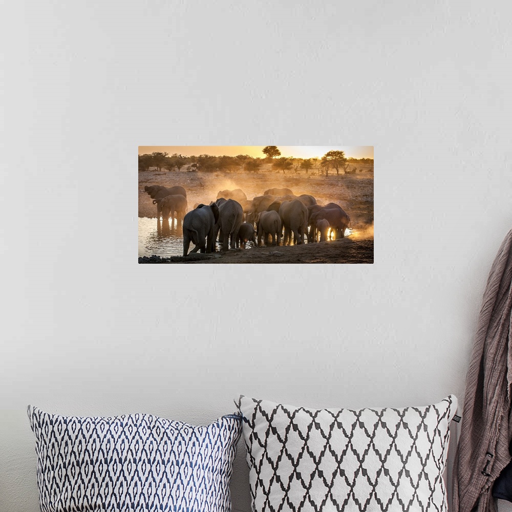 A bohemian room featuring A herd of elephants kicking up dust in the Savannah.