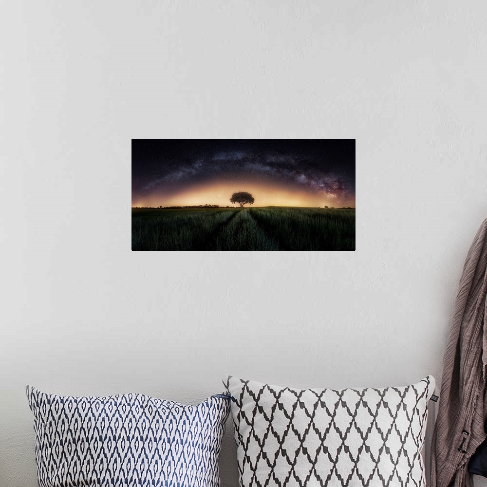 A bohemian room featuring Milky Way Over Lonely Tree