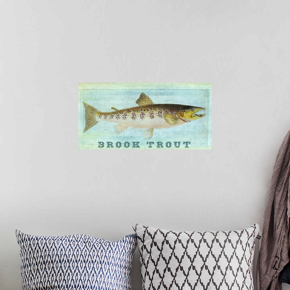 A bohemian room featuring Brook Trout