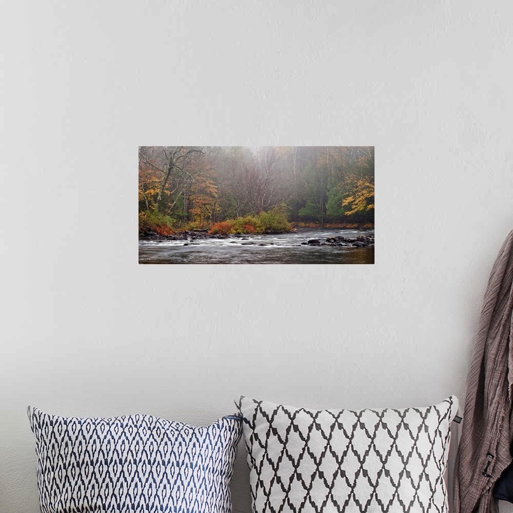 A bohemian room featuring Photograph taken of rushing water that cuts through a thick forest during autumn.
