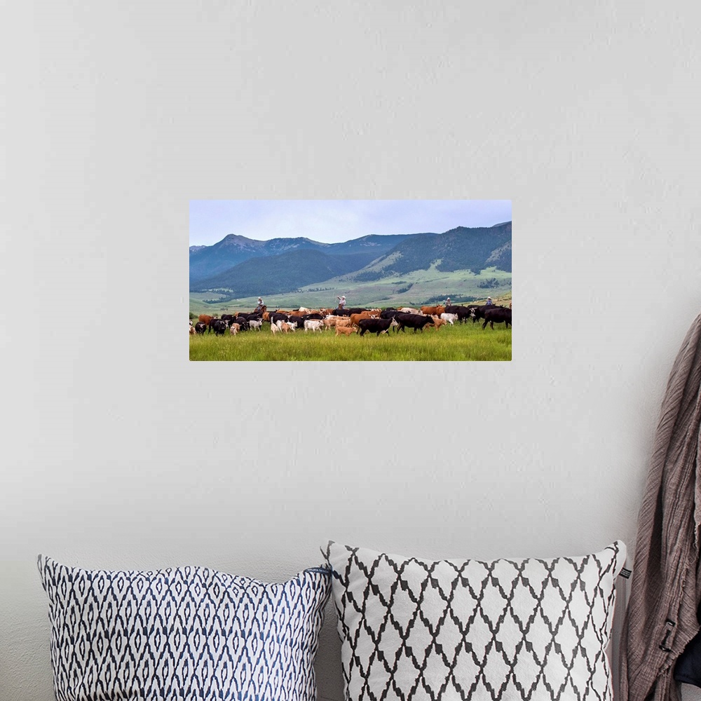 A bohemian room featuring Photograph of cowboys with lassos herding cattle through a valley.