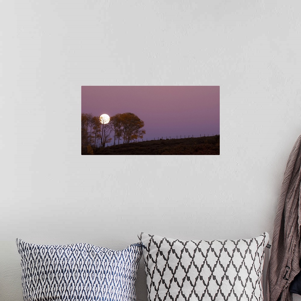 A bohemian room featuring Landscape photograph of a field with a few trees and a full moon rising in the purple sky.