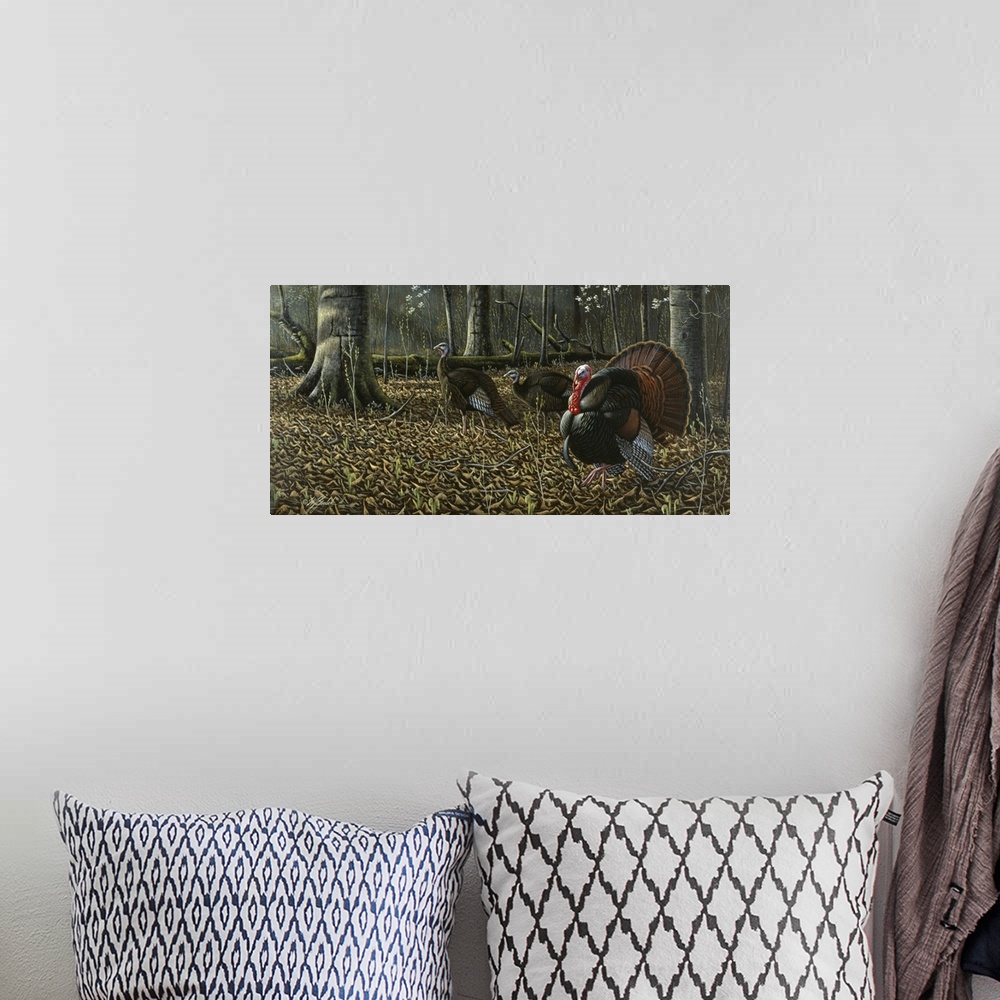 A bohemian room featuring Wild turkeys walking through the forest.