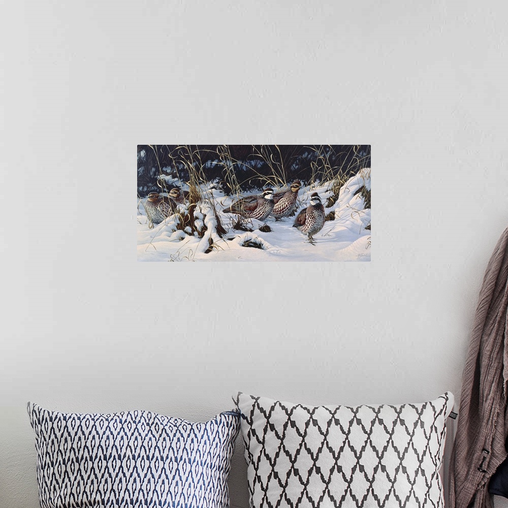 A bohemian room featuring A group of quail in the snow.