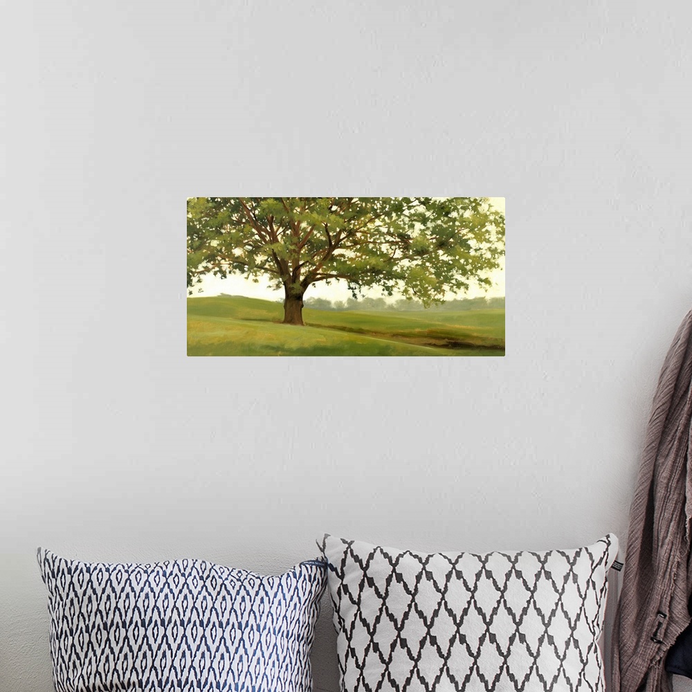 A bohemian room featuring Panoramic landscape of a large tree in a field of green grass with a line of a distance woods in ...