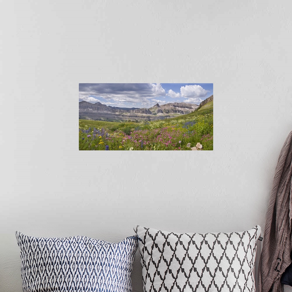 A bohemian room featuring Panoramic of Indian Paintbrush and monkey flowers, Alaska Basin, Idaho