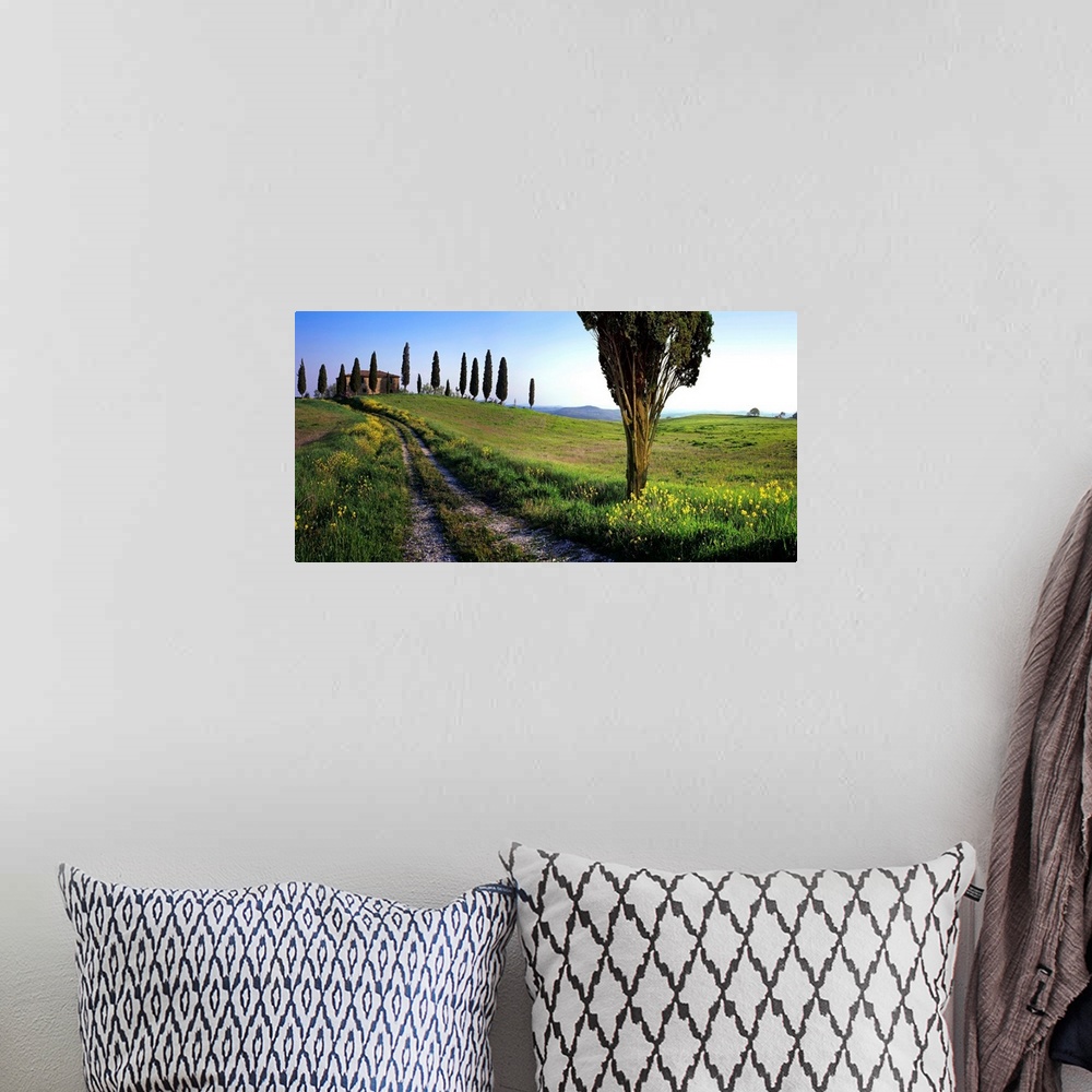 A bohemian room featuring Italy, Italia, Tuscany, Toscana, Orcia Valley,Val d'Orcia, Typical landscape