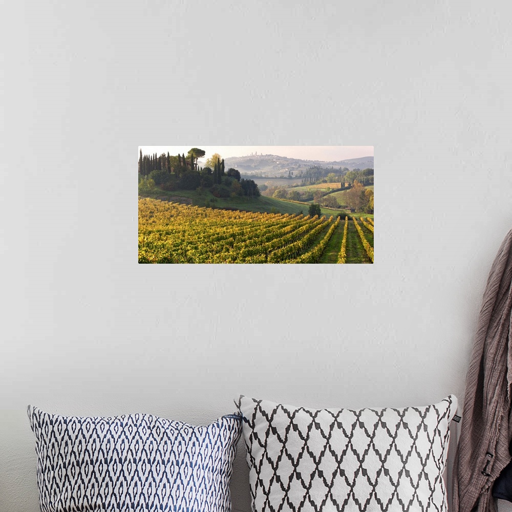 A bohemian room featuring Italy, Tuscany, Siena district, Val d'Elsa, Vernaccia vineyards near San Gimignano.