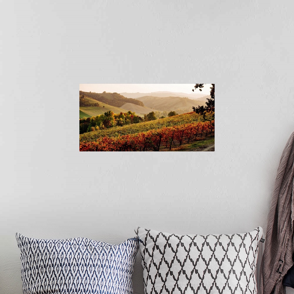 A bohemian room featuring Castelvetro di Modena, Emilia Romagna, Italy. Autumn landscape with colorful vineyards and hills.