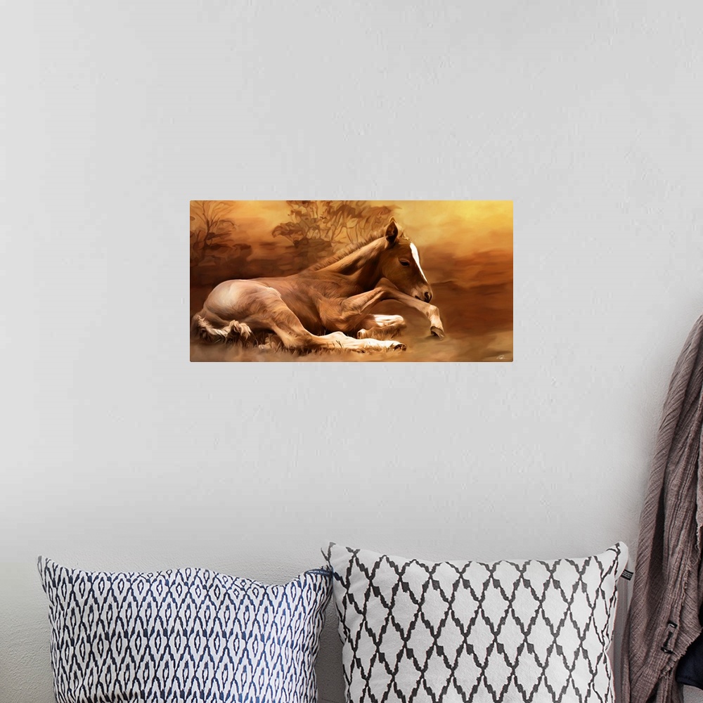 A bohemian room featuring Contemporary animal art of a foal laying peacefully on the ground.