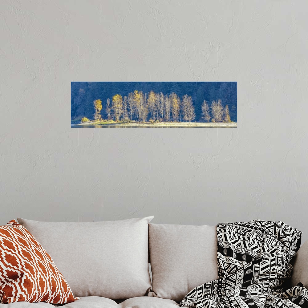 A bohemian room featuring The remnant's of fall's gold color pops out against the shadowed blue backdrop of the forest.
