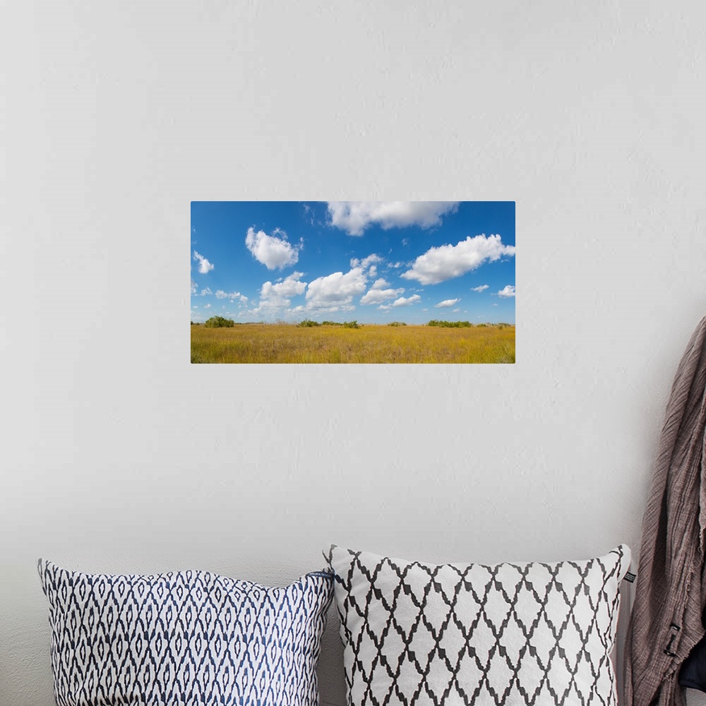 A bohemian room featuring Clouds over Everglades National Park, Florida