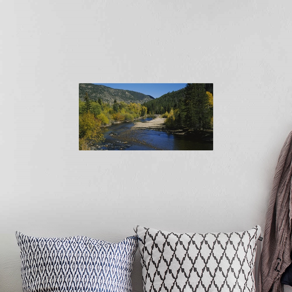 A bohemian room featuring High angle view of a river in the forest, Cache La Poudre River, Colorado