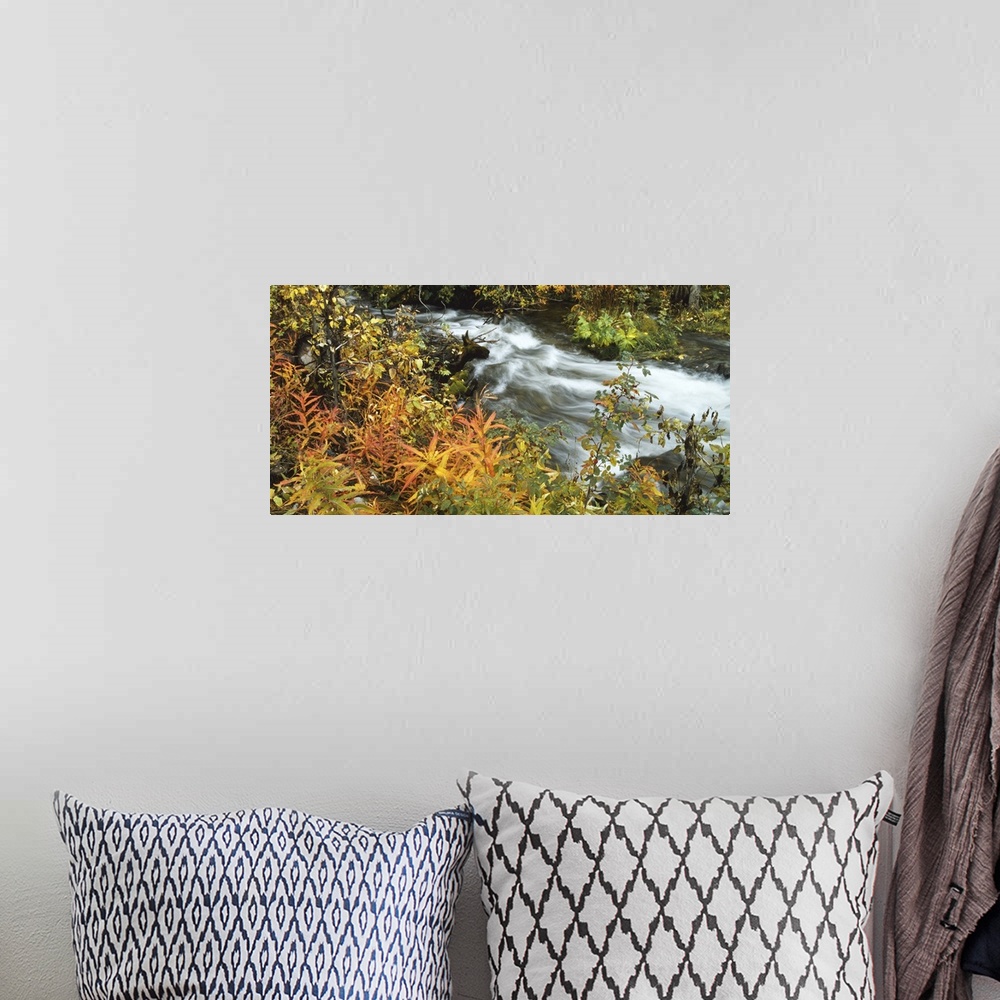 A bohemian room featuring High angle view of a river in the forest, Takhini River, Whitehorse, Canada