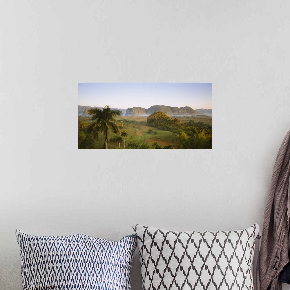 A bohemian room featuring High angle view of palm trees on a landscape, Vinales, Cuba