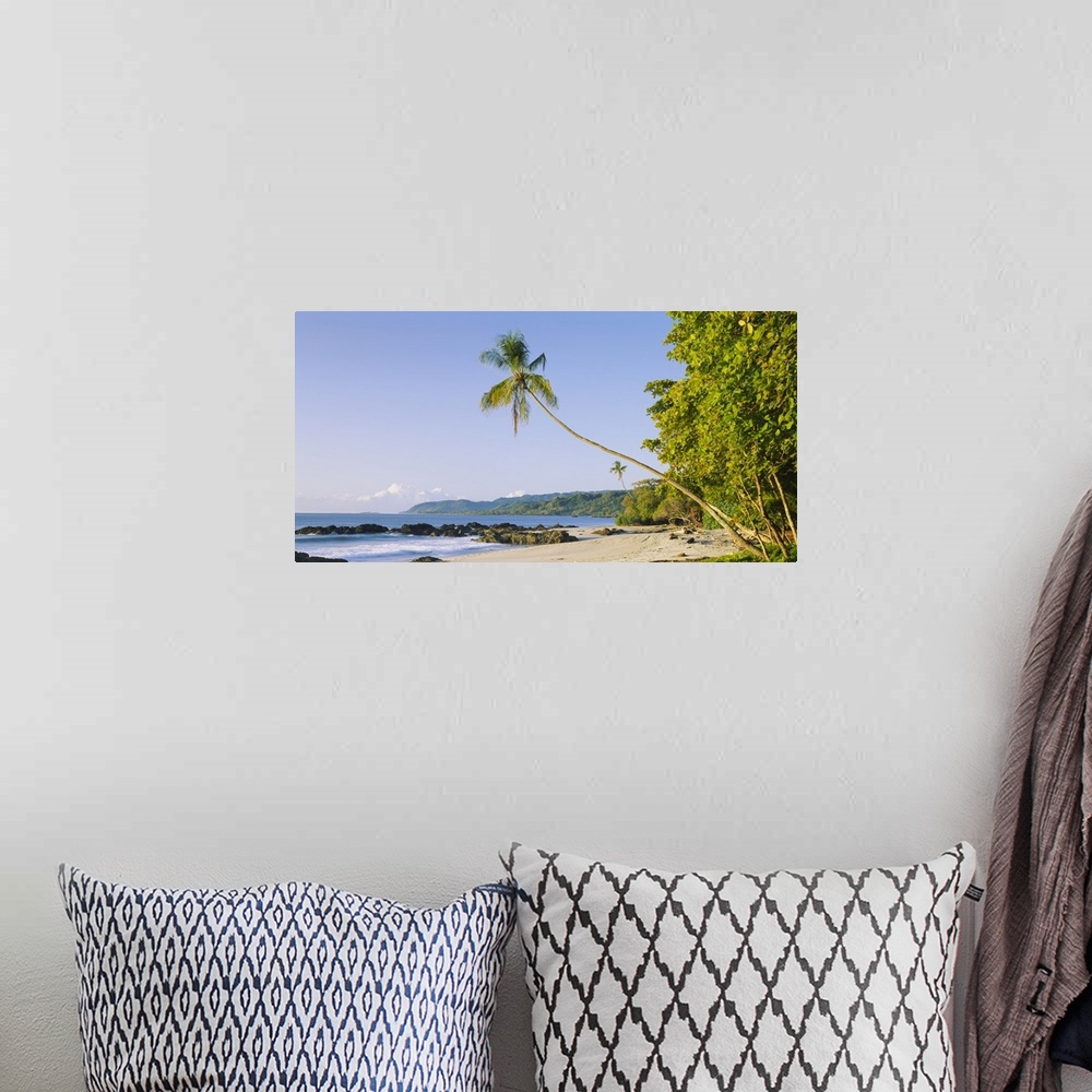A bohemian room featuring Palm tree on the beach, Montezuma Beach, Nicoya Peninsula, Costa Rica