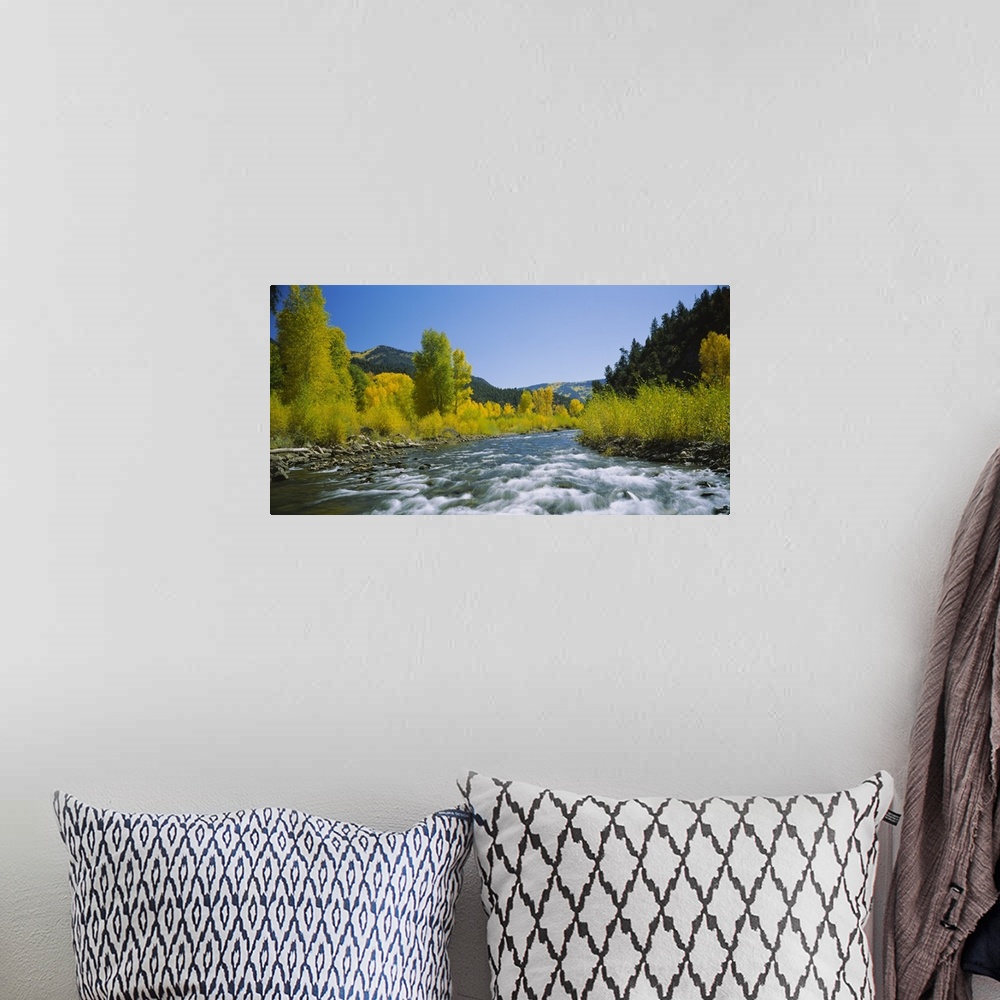 A bohemian room featuring Bright summer photograph of water rushing over a rocky streambed in the United States wilderness,...