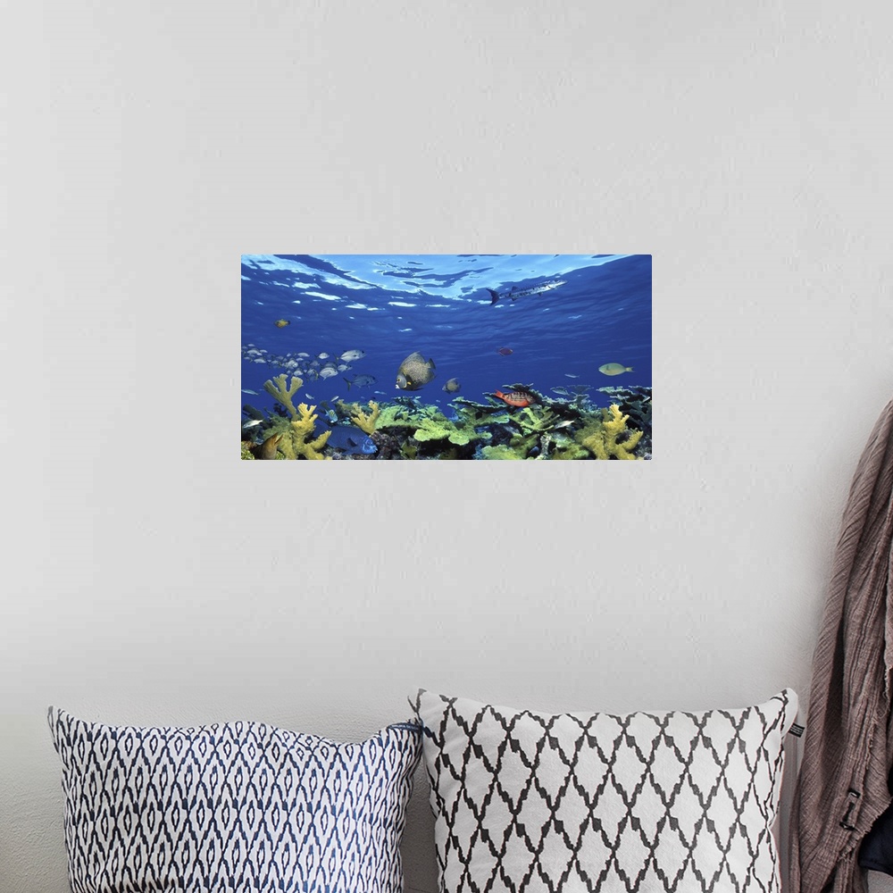 A bohemian room featuring School of fish swimming in the sea, Digital Composite