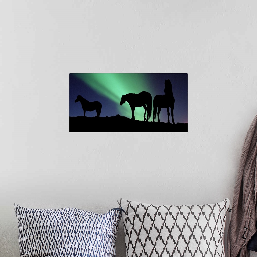 A bohemian room featuring Large, horizontal photograph of the silhouettes of three horses standing on a hill, in front of t...