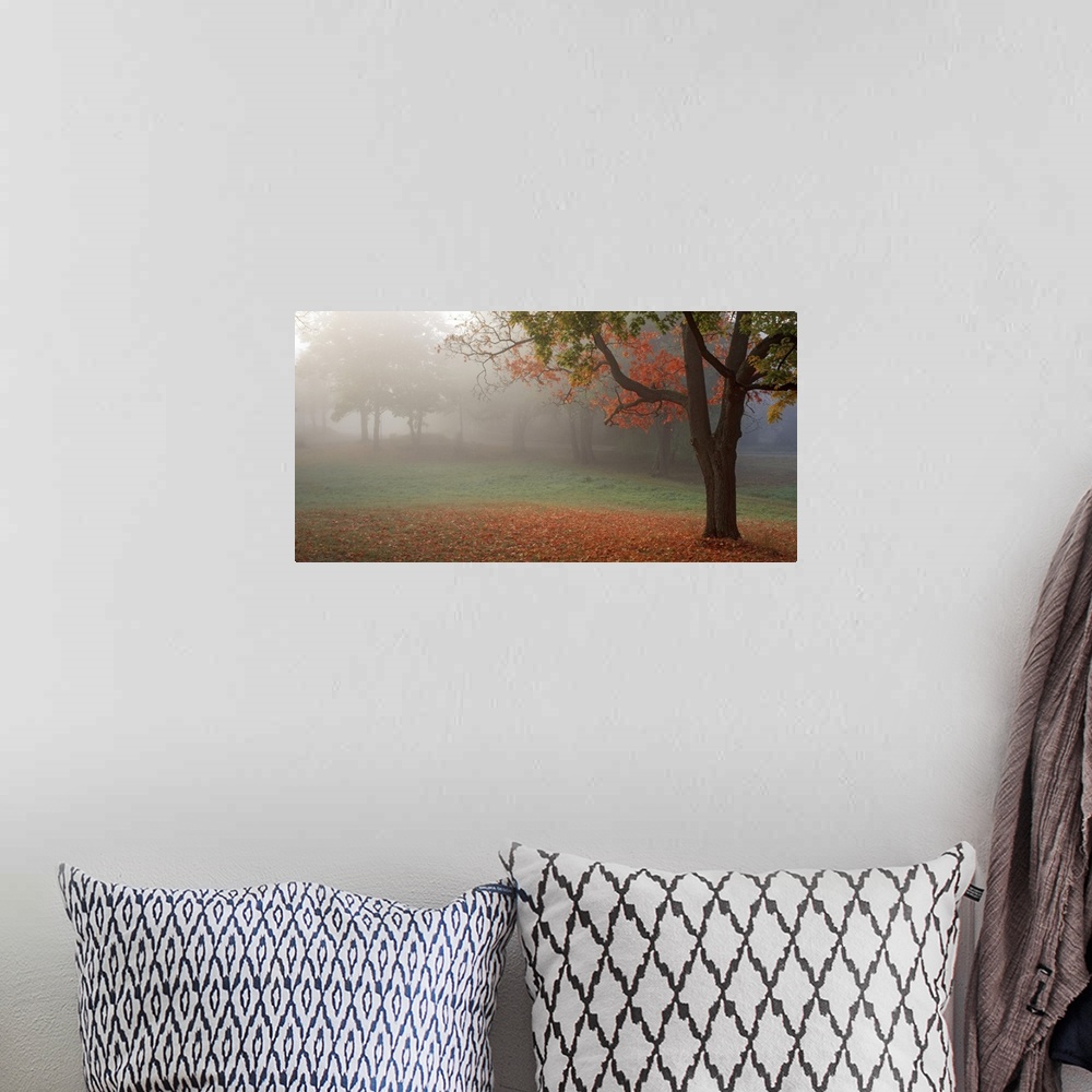 A bohemian room featuring Photograph of the final morning fog lifting from a park with a bed of orange leaves surrounding t...
