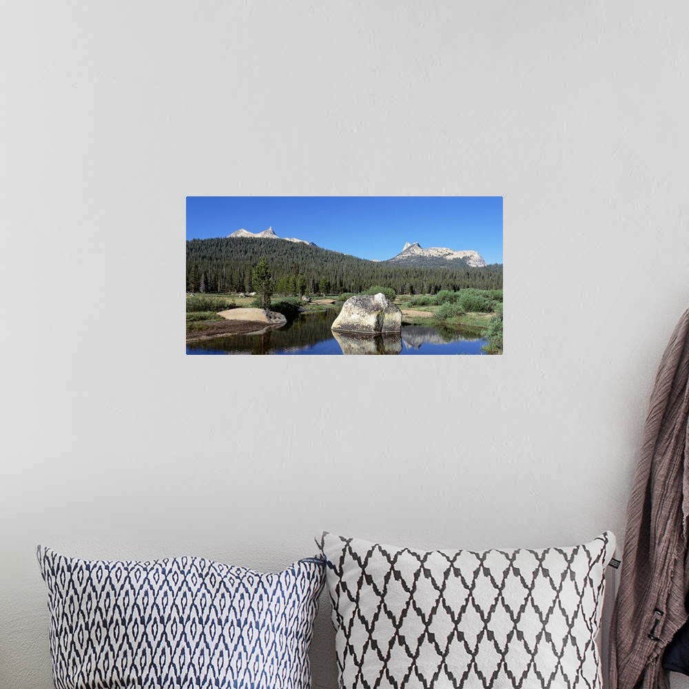 A bohemian room featuring Tuolumne River Cathedral Peak Unicorn Peak Yosemite National Park CA