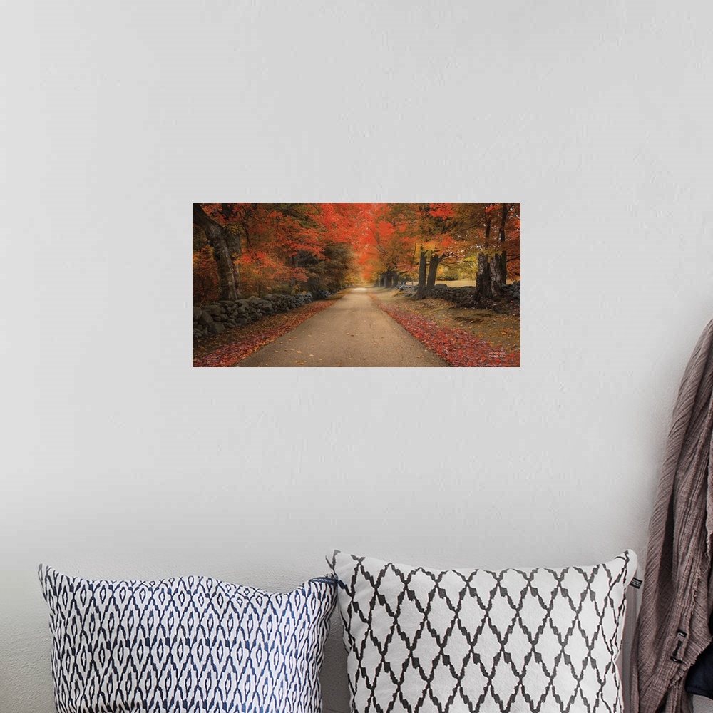 A bohemian room featuring Pathway through a forest with bright orange leaves in autumn in soft light.