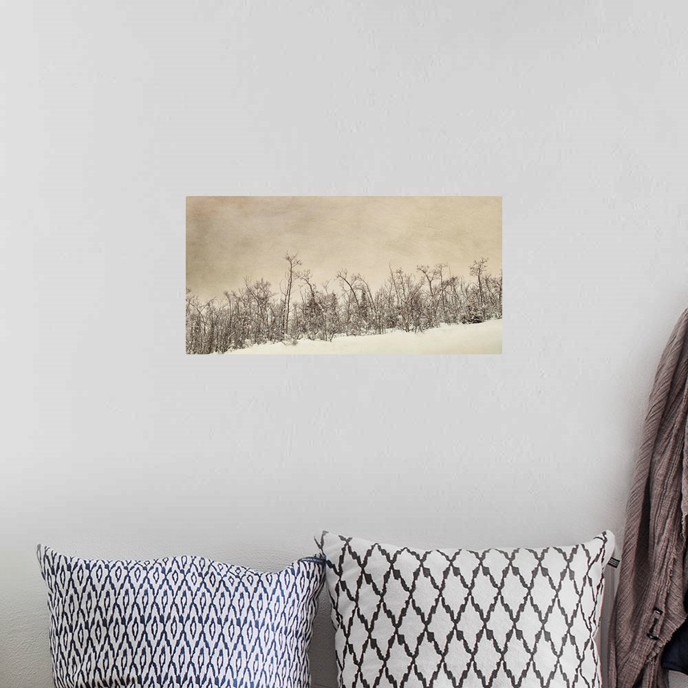 A bohemian room featuring An artistic photograph of a forest covered in cold winter snow.