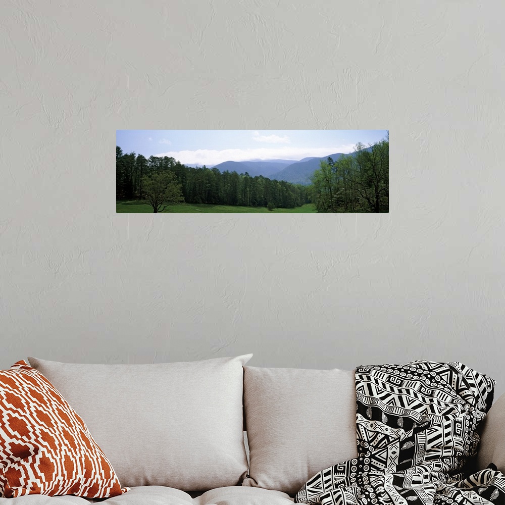 A bohemian room featuring Cades Cove Great Smoky Mtns National Park TN