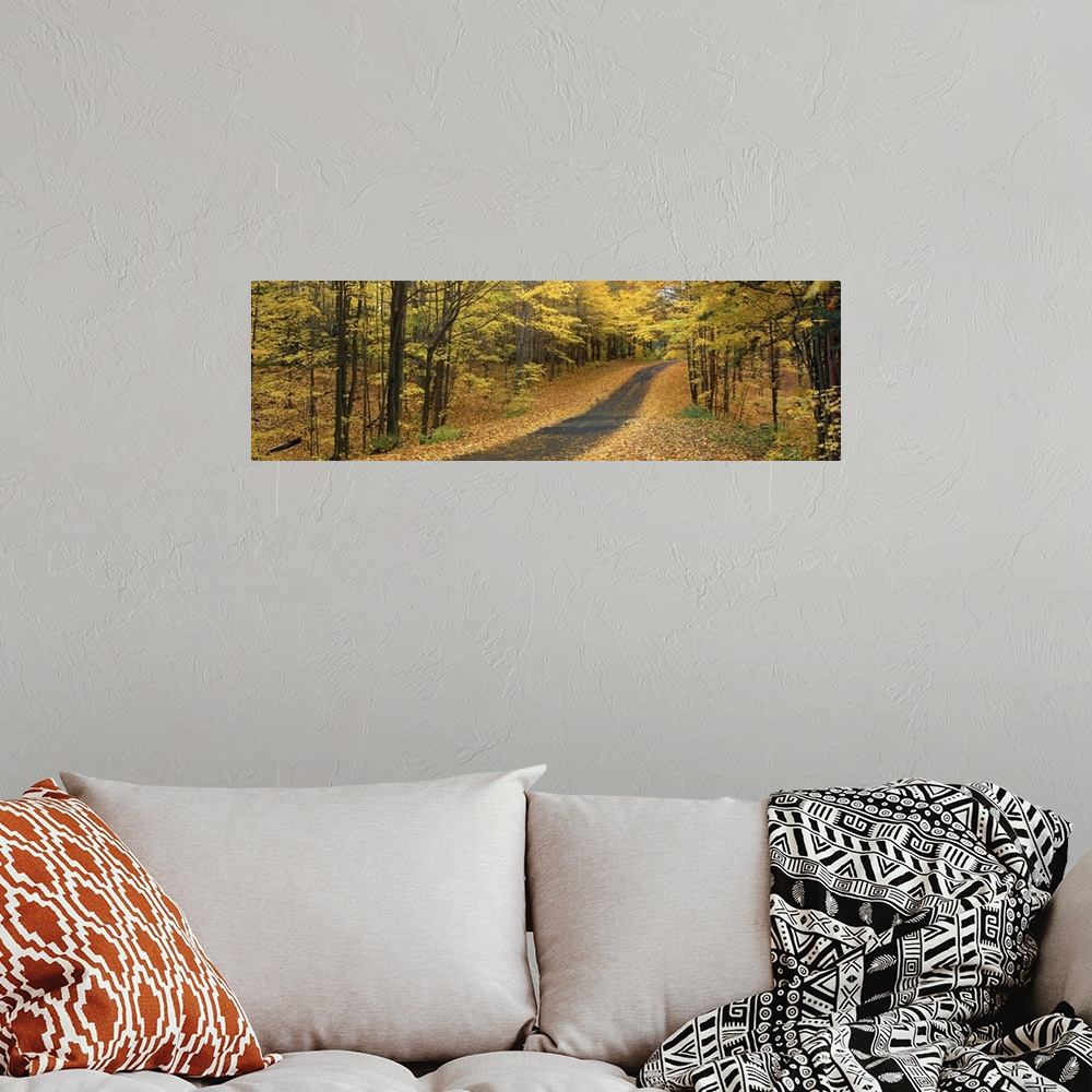 A bohemian room featuring A road winding through the autumn forest at Emery Park in New York.