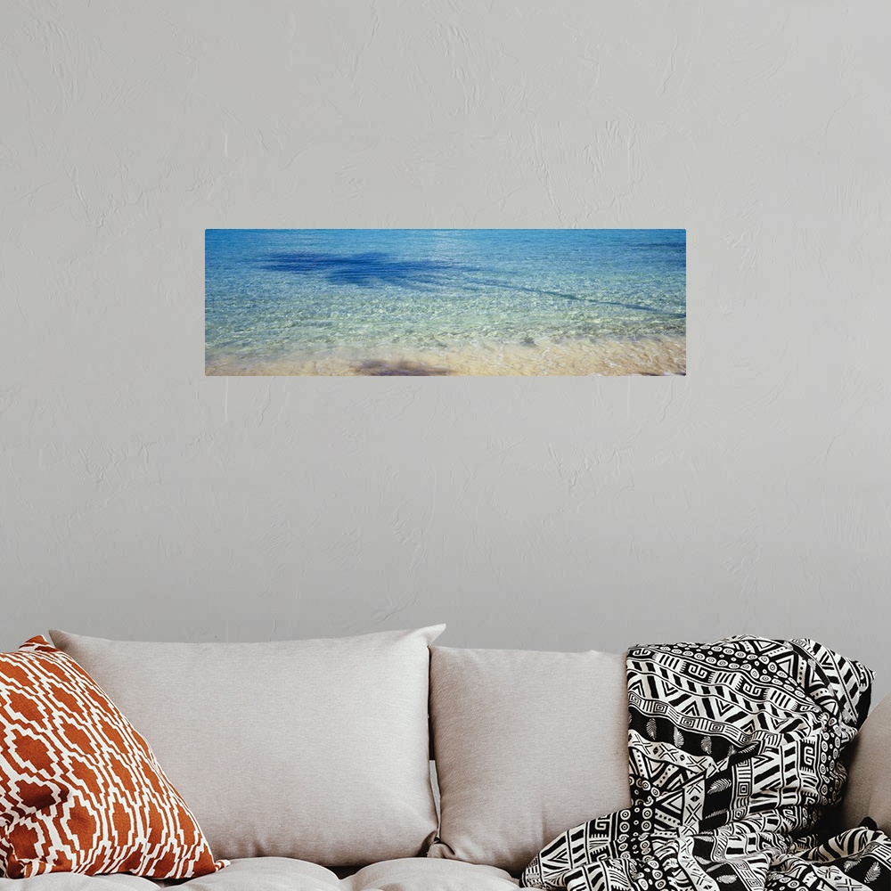 A bohemian room featuring Panoramic photograph of crystal clear ocean water at shoreline with the shadow of palm tree refle...