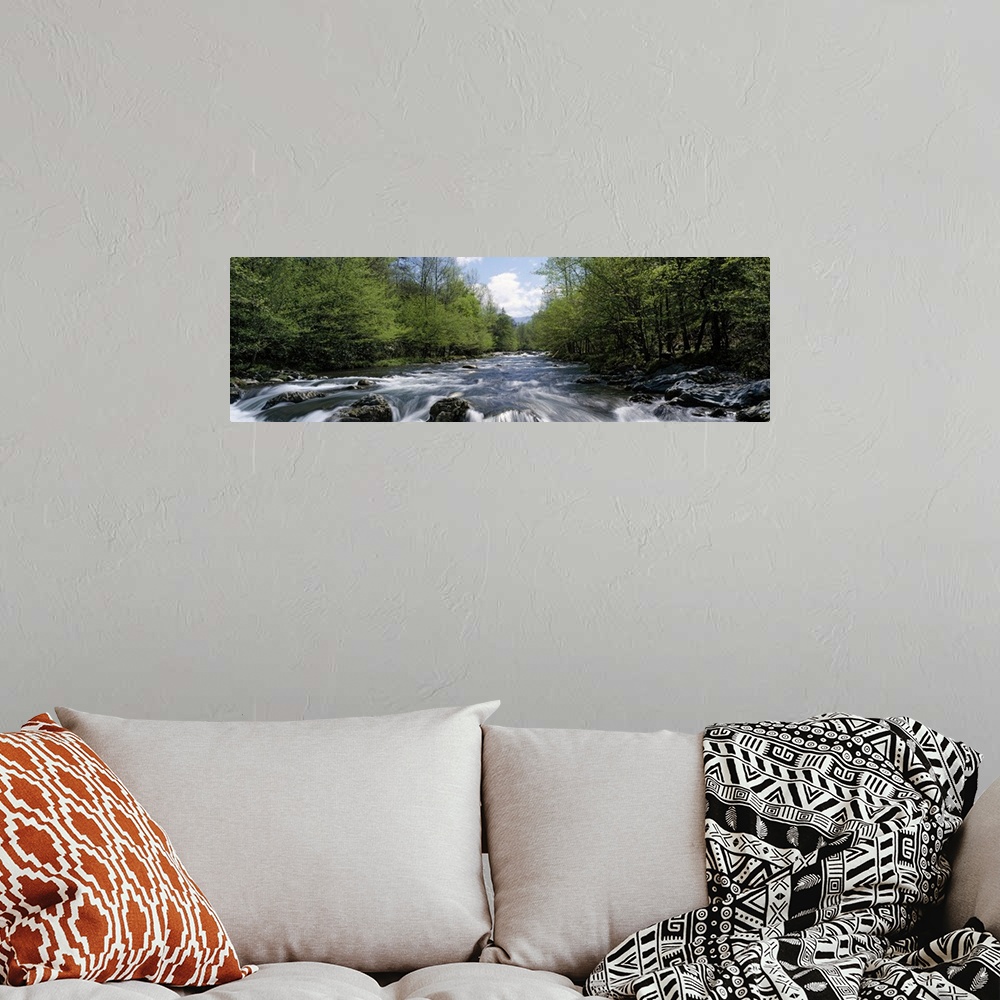 A bohemian room featuring A river filled with boulders and rapids rushes through the forest in this panoramic photograph fo...