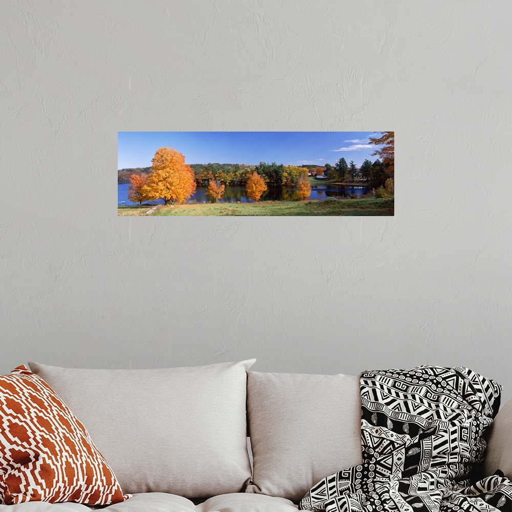 A bohemian room featuring New Hampshire, Hancock, Norway Pond, Tree in autumn