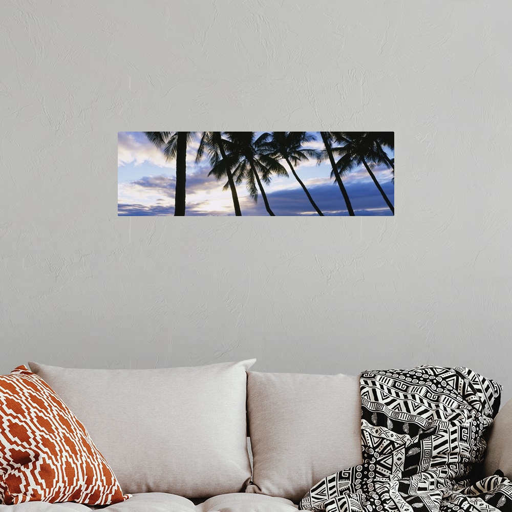 A bohemian room featuring Palm Trees Maui HI