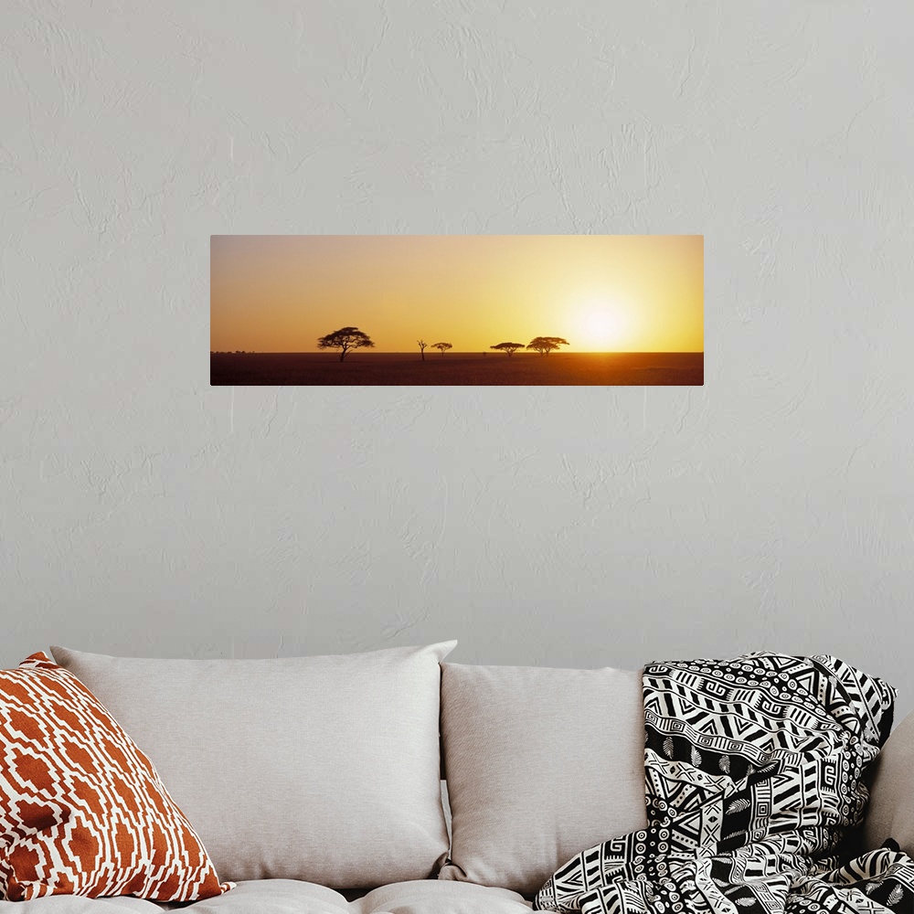 A bohemian room featuring Panoramic photograph of desert  at dawn with tree silhouettes.