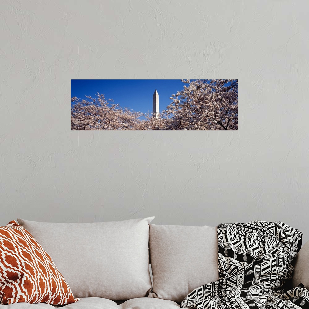A bohemian room featuring US, Washington DC, Washington Monument with Cherry Blossoms