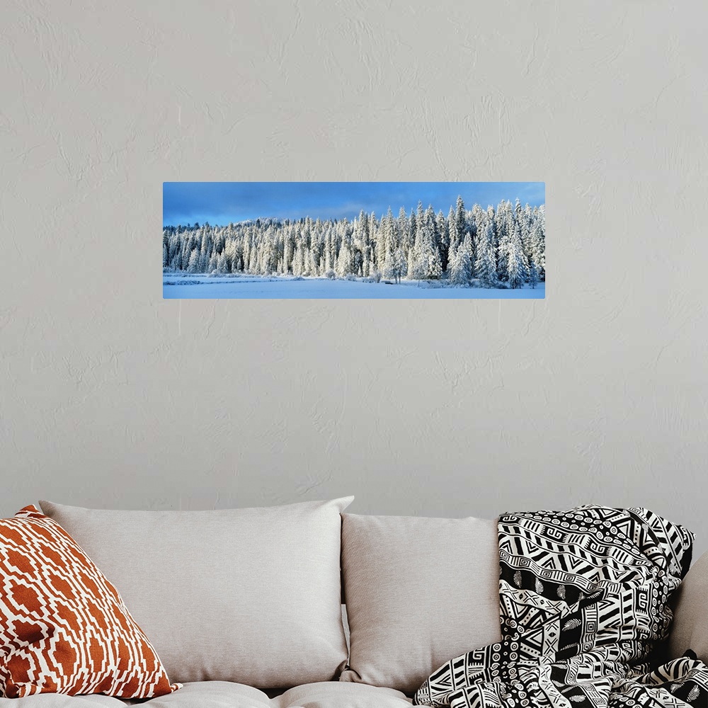 A bohemian room featuring Winter Wawona Meadow Yosemite National Park CA