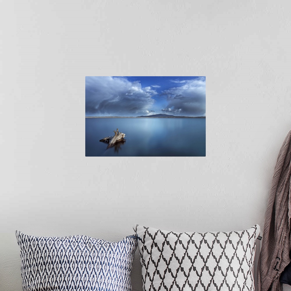 A bohemian room featuring A piece of driftwood in the still waters of a Polish lake, with a cloudy sky above.