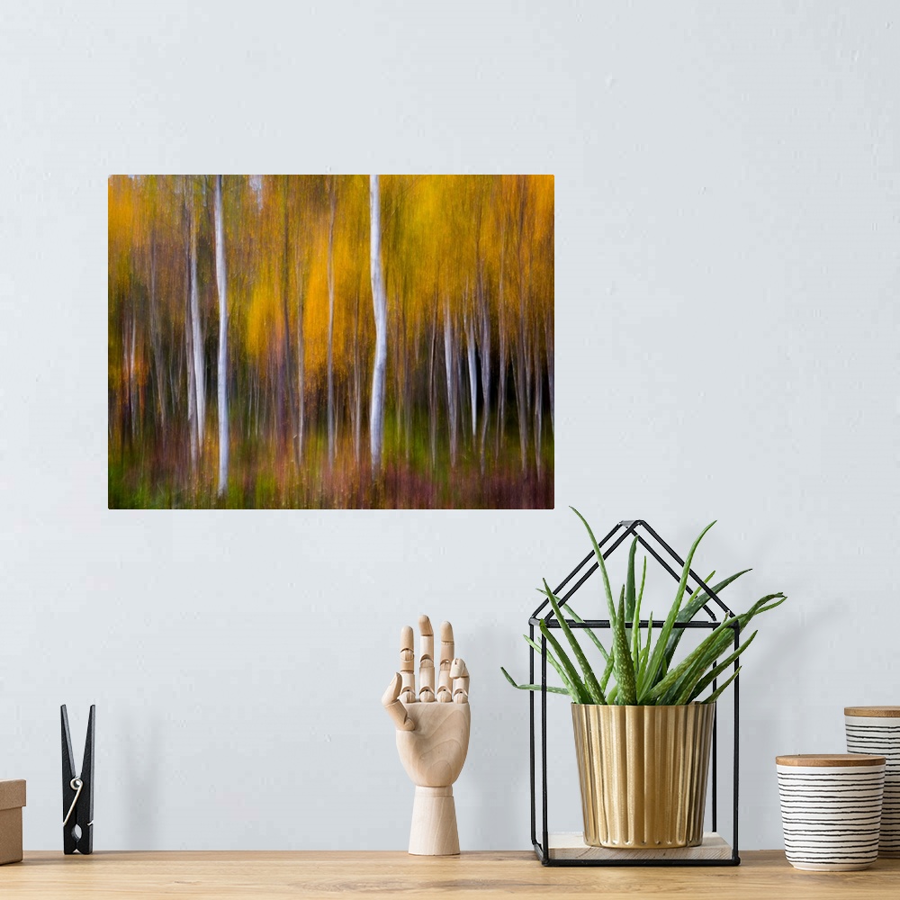 A bohemian room featuring Abstract Fall