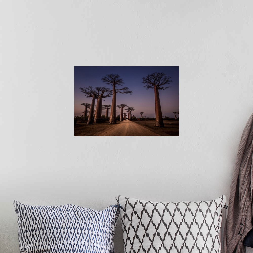 A bohemian room featuring Allace Des Baobabs